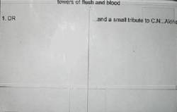 Towers Of Flesh And Blood : Demo 4